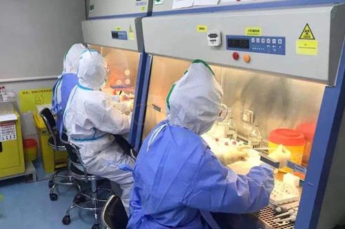 P2+实验室装修要求SICOLAB