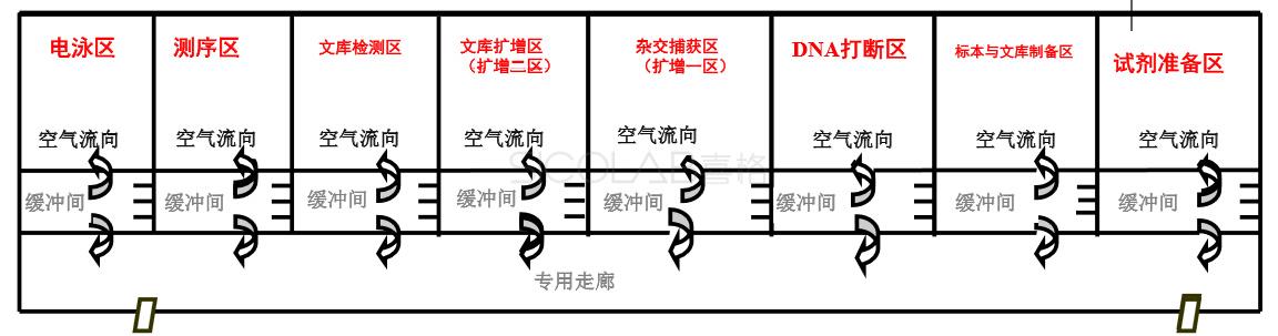 遗传病诊断+肿瘤诊断与治疗实验室平面.jpg