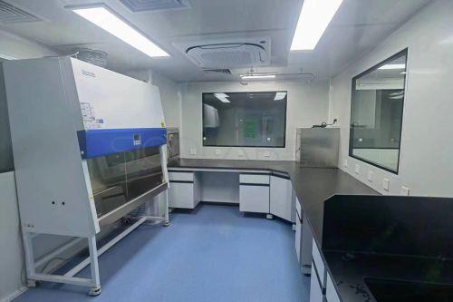 BSL - 2实验室装修