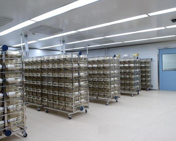 案例经验分享：医院动物实验室设计SICOLAB