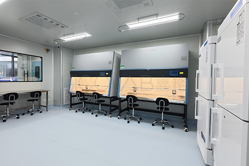 无菌实验室建设标准及装修设计不容忽视的问题！