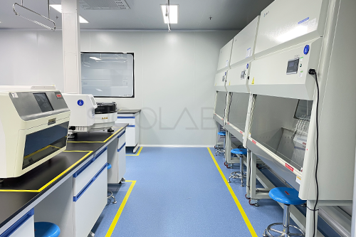 简要说明实验室装修设计的一些细节